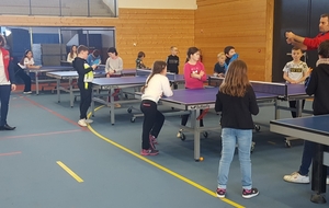 Initiation du tennis de table dans les écoles de la commune