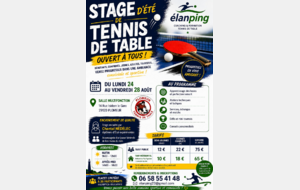 Stage de Tennis de Table à Plomeur - Ouvert à tous