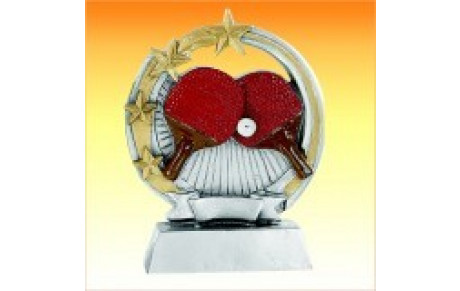 Résultats du 1er tournoi d'été