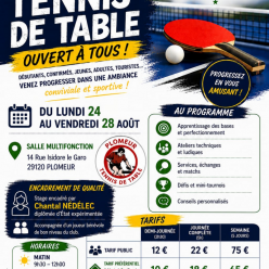 Stage de Tennis de Table à Plomeur - Ouvert à tous